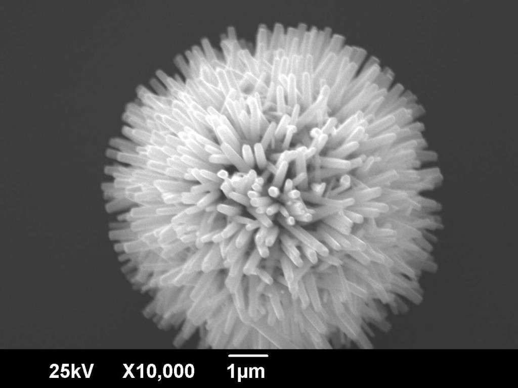 Ball of ZnO nanowires